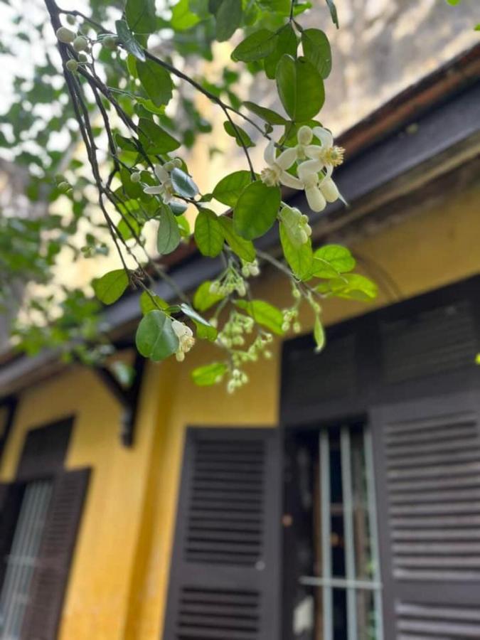Ciel Homestay Хюэ Экстерьер фото
